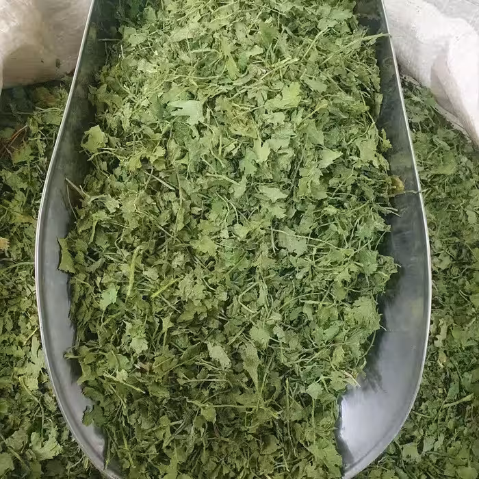 گشنیز خشک  100 گرم 