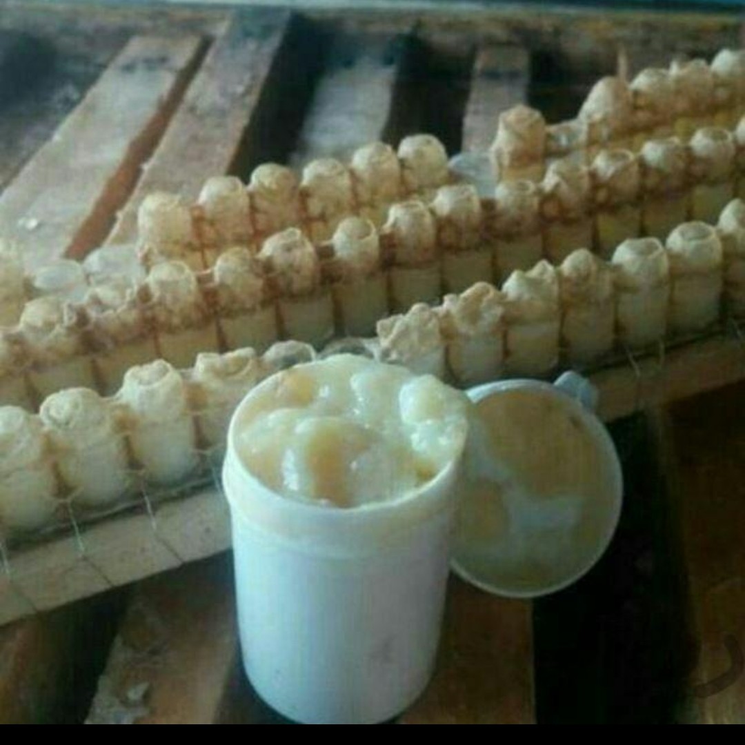 ژل رویال