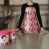 پیشبند شاین