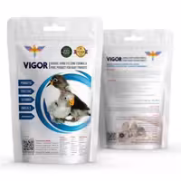 سرلاک 250 گرمی طوطی سانان ویگر  VIGOR عروس هلندی ، کوتوله برزیلی ، کاسکو