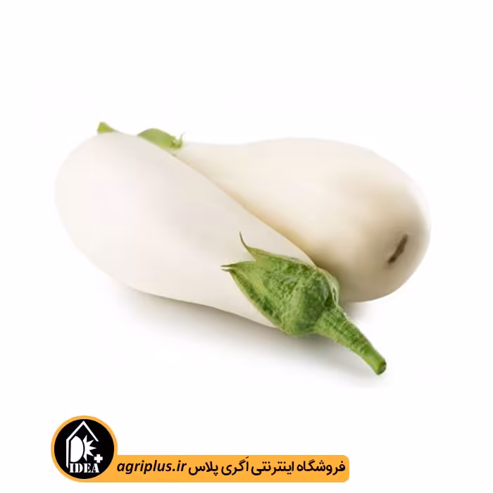 بذر بادمجان سفید بسته بندی خانگی