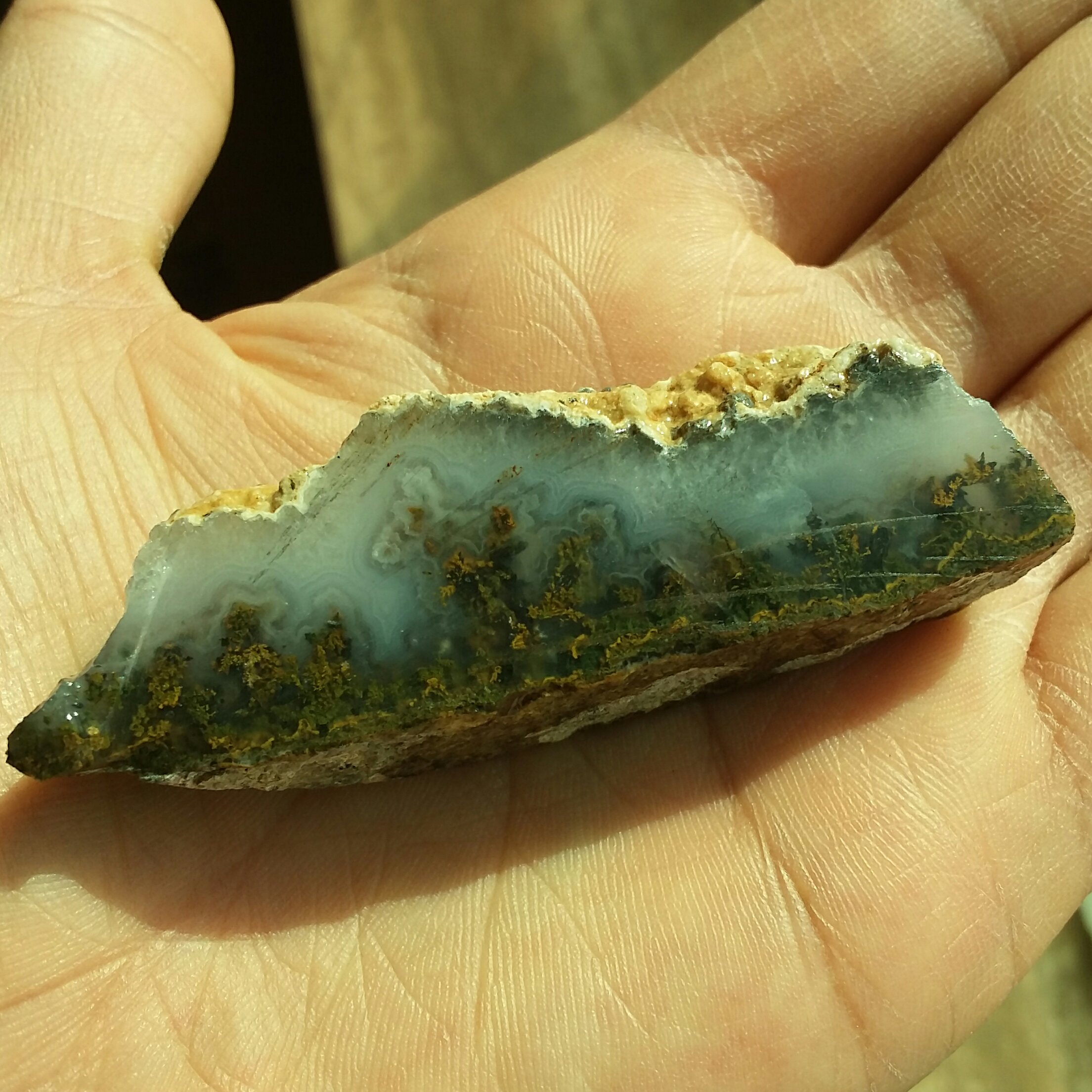 اسلایس سنگ راف شجر منظره کمیاب محشررر کاملا طبیعی