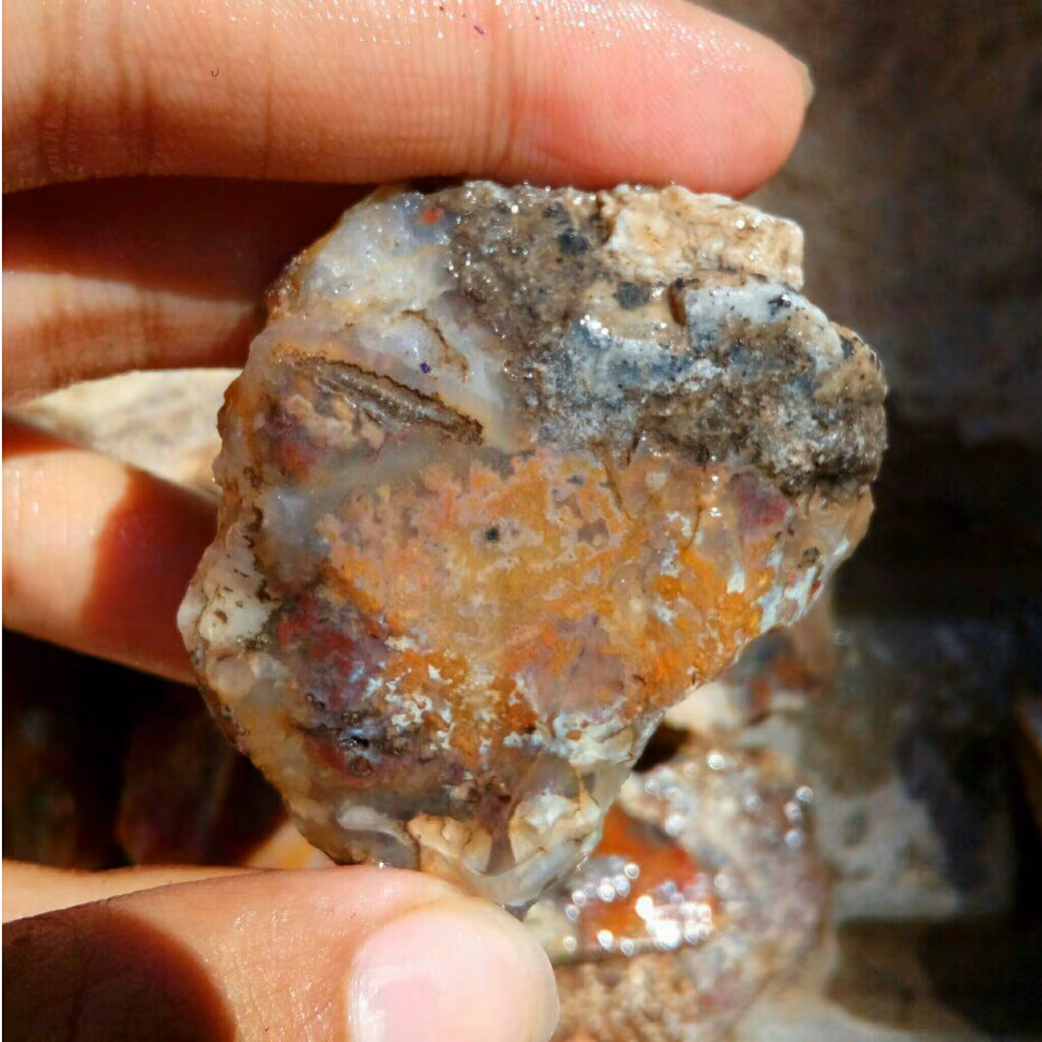 راف بسیار زیبای شجر شکوفه مختص تراش نگین های بسیار زیبا و کلکسیون