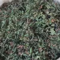 پرسیاوش (پرسیاوشان) - 1 کیلو