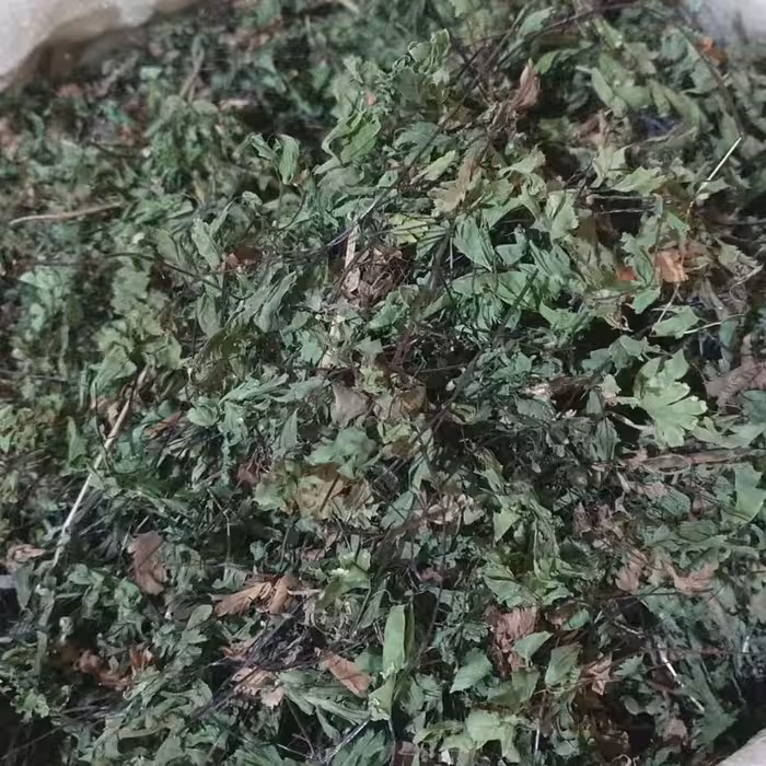 پرسیاوش (پرسیاوشان) - 1 کیلو