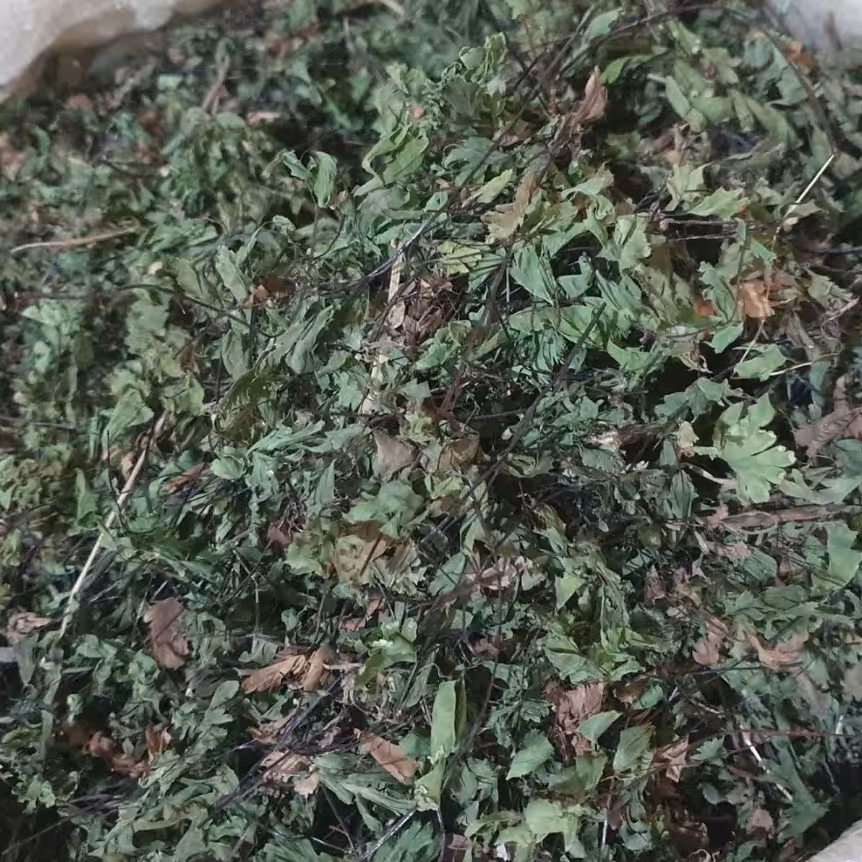 پرسیاوش (پرسیاوشان) - 1 کیلو