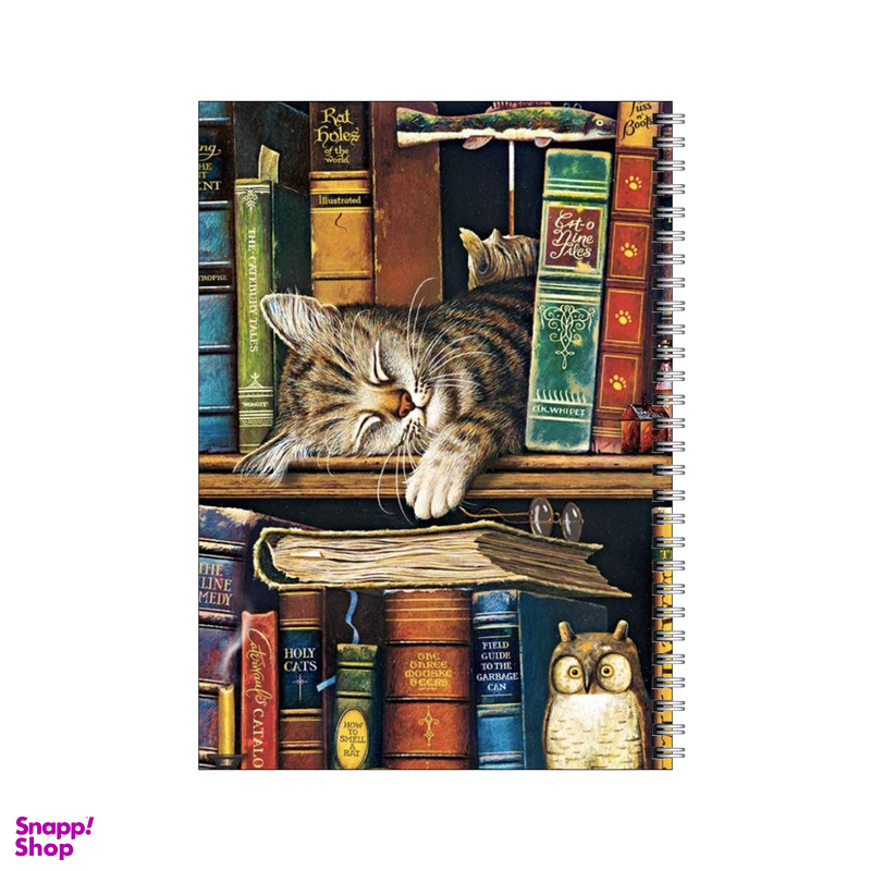 دفتر مشق 100 برگ بامبیلیپ طرح گربه کتابخوان کد 1846274