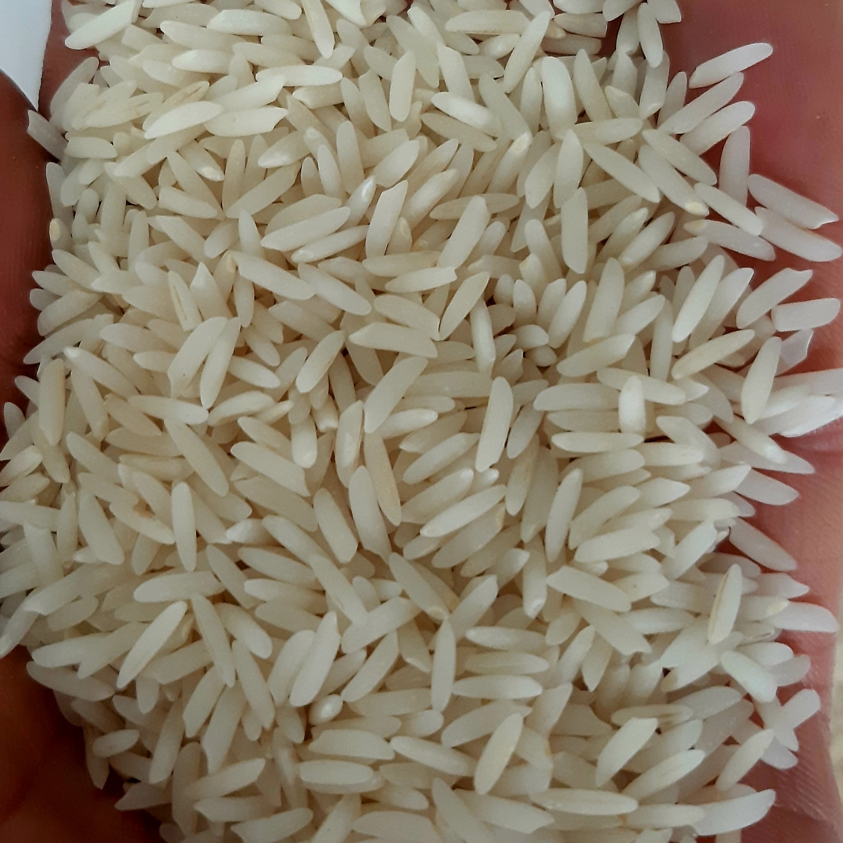 برنج خالص و معطر هاشمی روستای شیرآباد گیلان 20 کیلوگرم الک شده