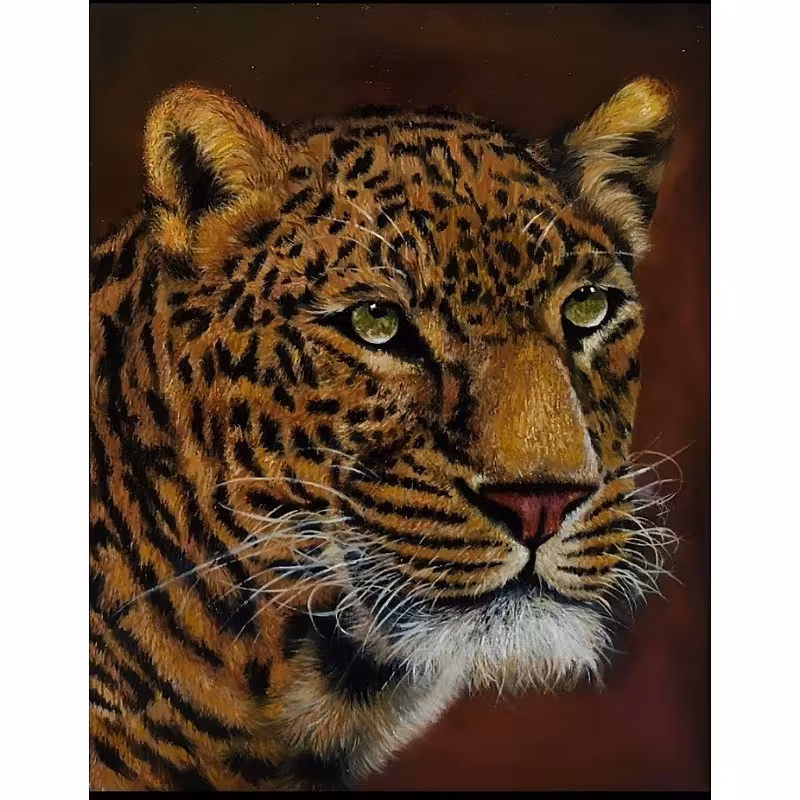 نقاشی رنگ روغن 40در50 نقاشی