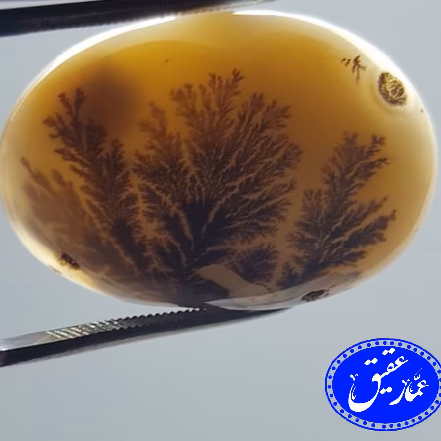 نگین عقیق شجر منظره با زمینه سفید و گل سوزنی