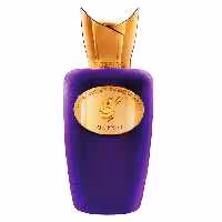ادو پرفیوم مردانه و زنانه اماراتی SOSPIRO Perfumes Accento حجم 100 میلی لیتر