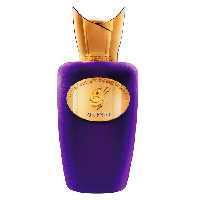 ادو پرفیوم مردانه و زنانه اماراتی SOSPIRO Perfumes Accento حجم 100 میلی لیتر