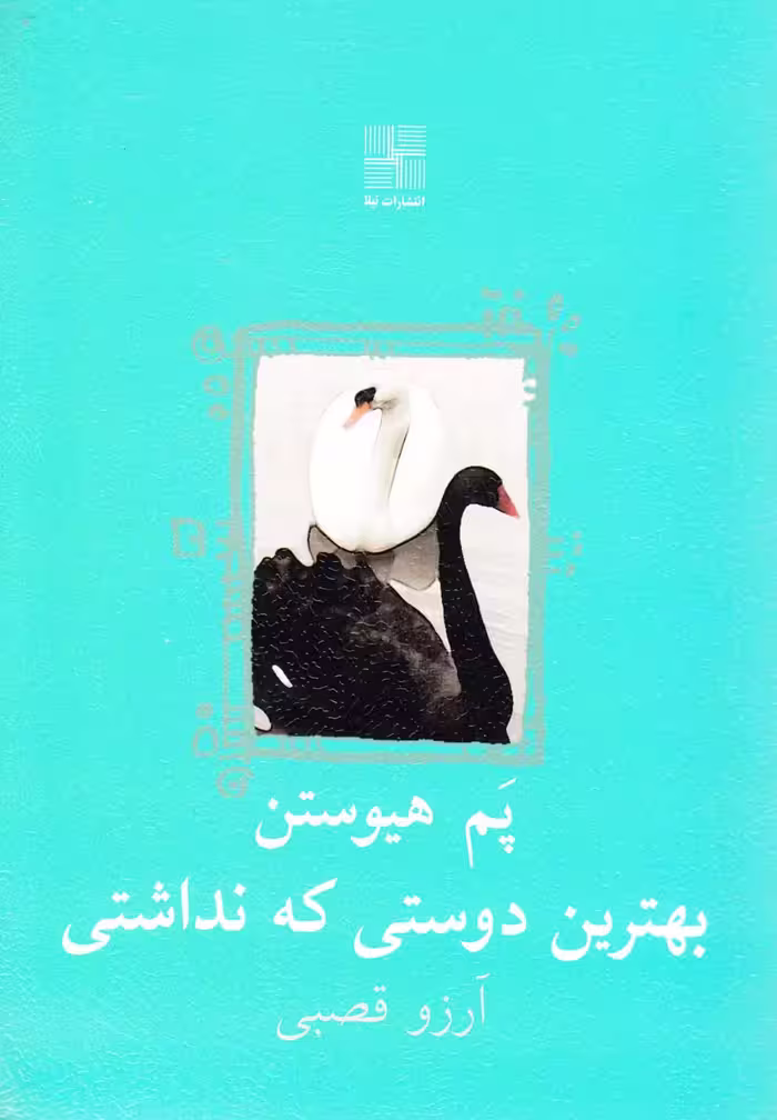 کتاب بهترین دوستی که نداشتی اثر پم هیوستن