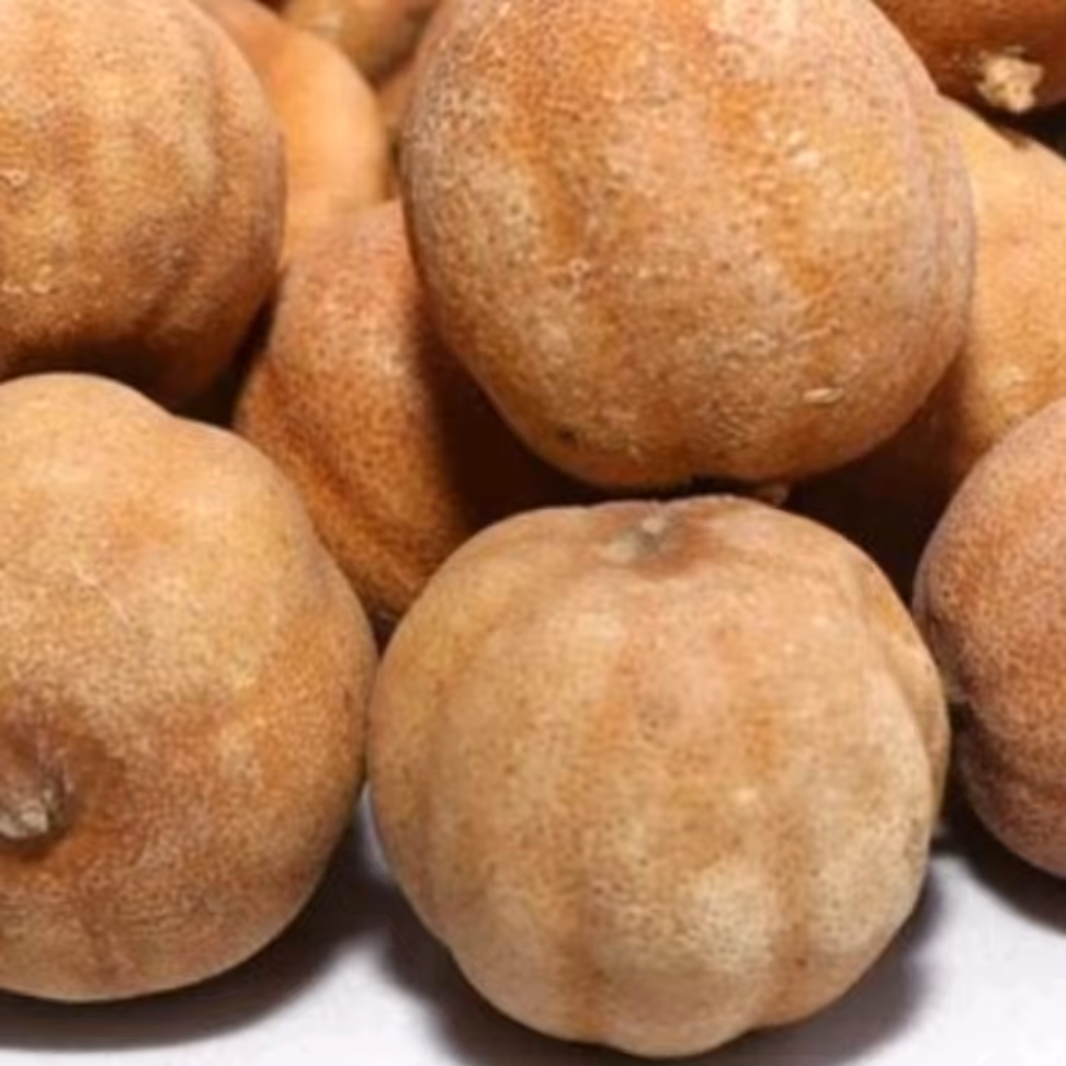 لیمو عمانی سفید 100 گرمی عطاری دستانی 