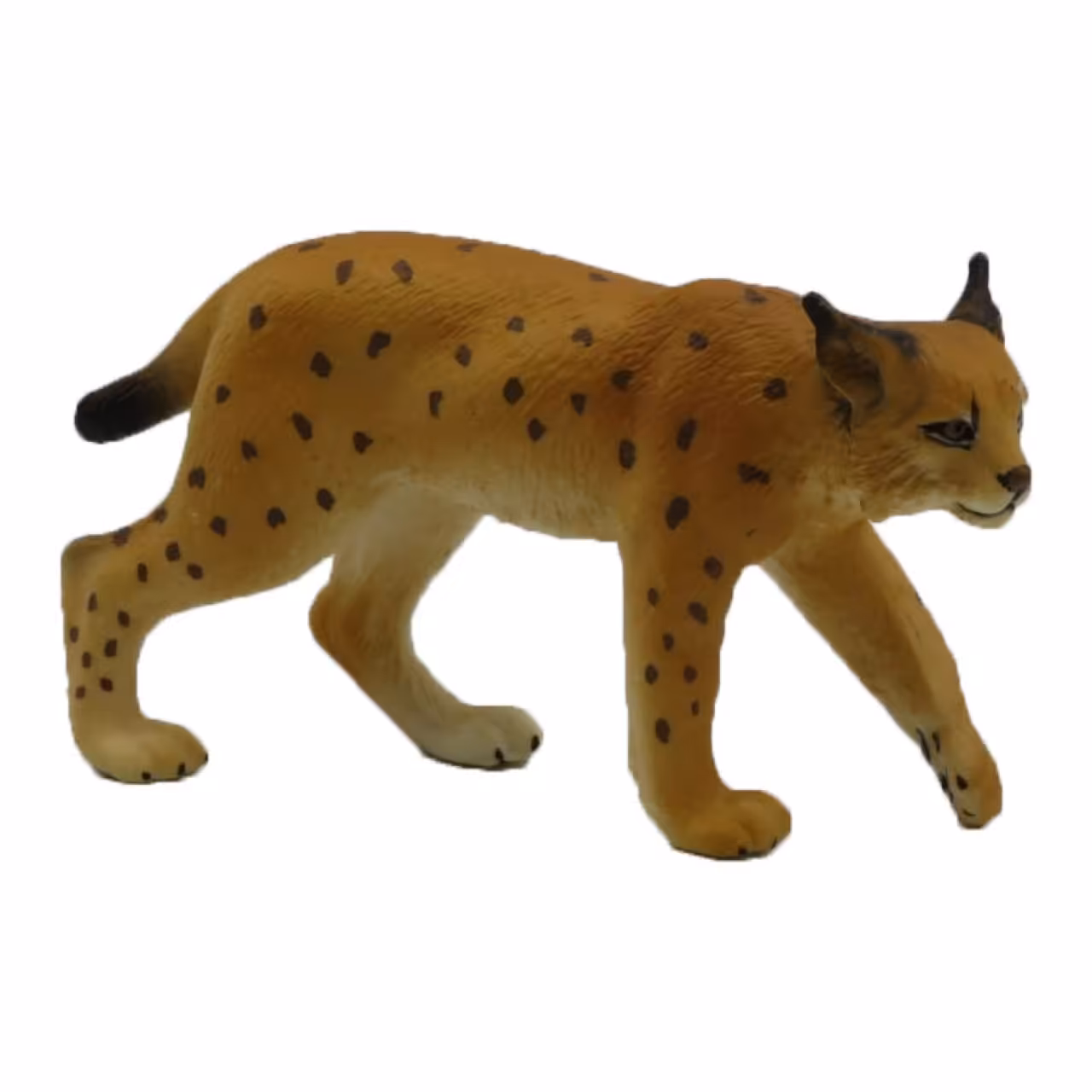 فیگور مدل سیاه گوش