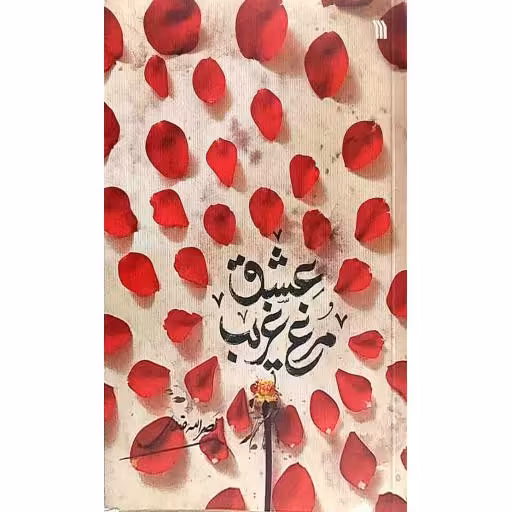 مرغ غریب عشق