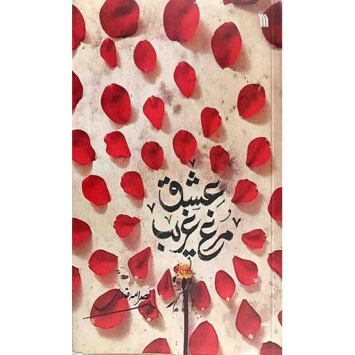 مرغ غریب عشق