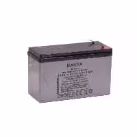 خرید باطری دزدگیر 5 آمپر | بهترین قیمت باطری UPS - کارسیتو