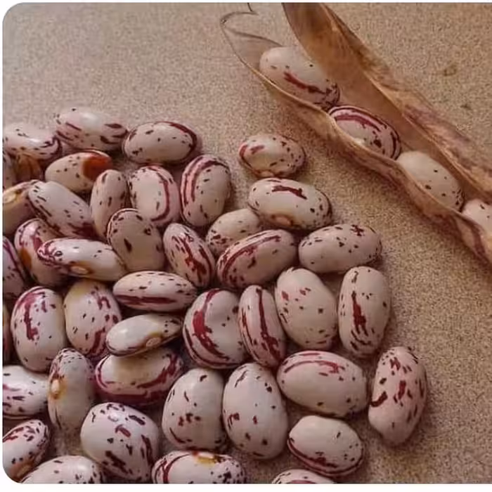 لوبیا چیتی،  زودپز.یک کیلو ، درجه 1 ( حبوبات ) تضمین کیفیت ،تضمین قیمت،