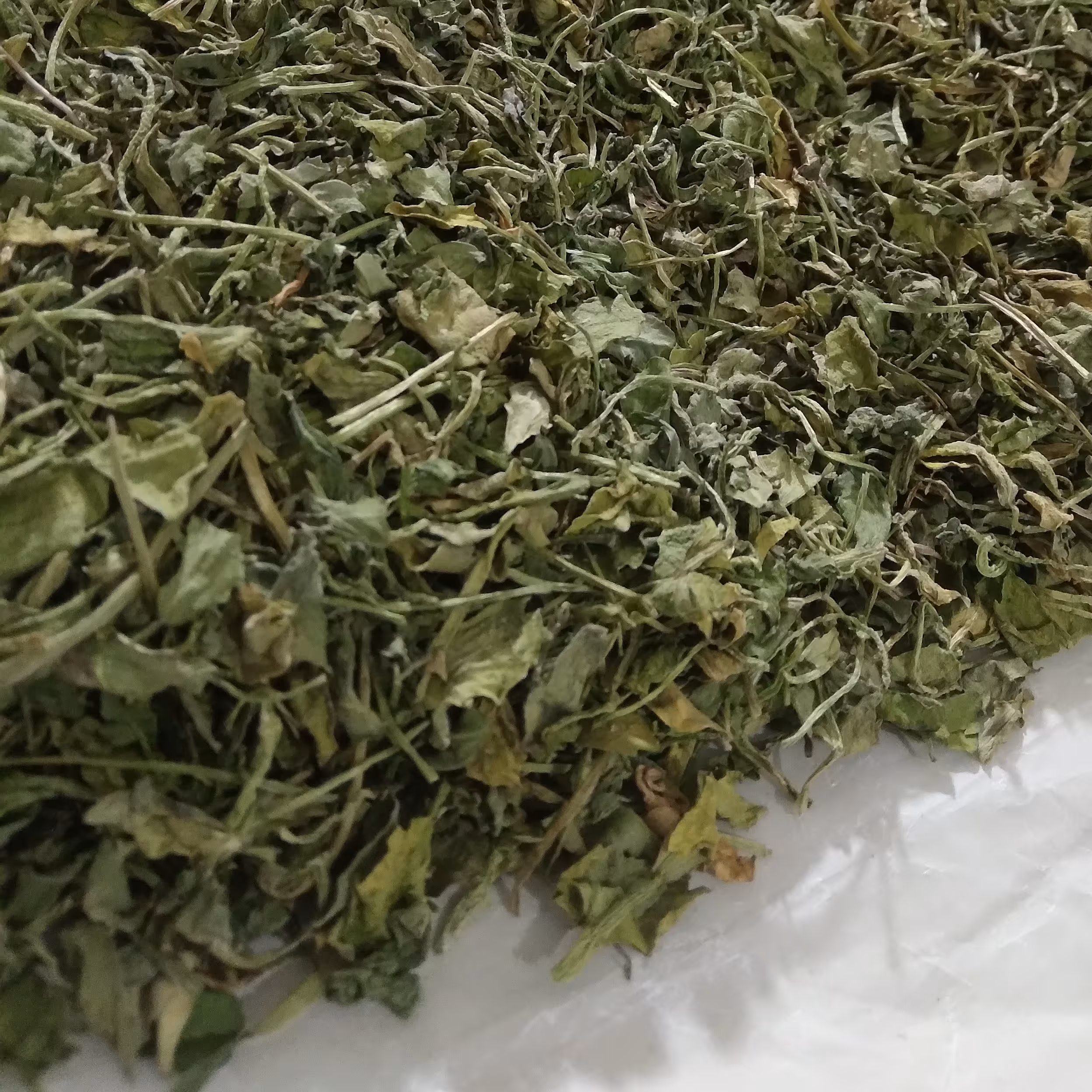 جعفری خشک شده خانگی