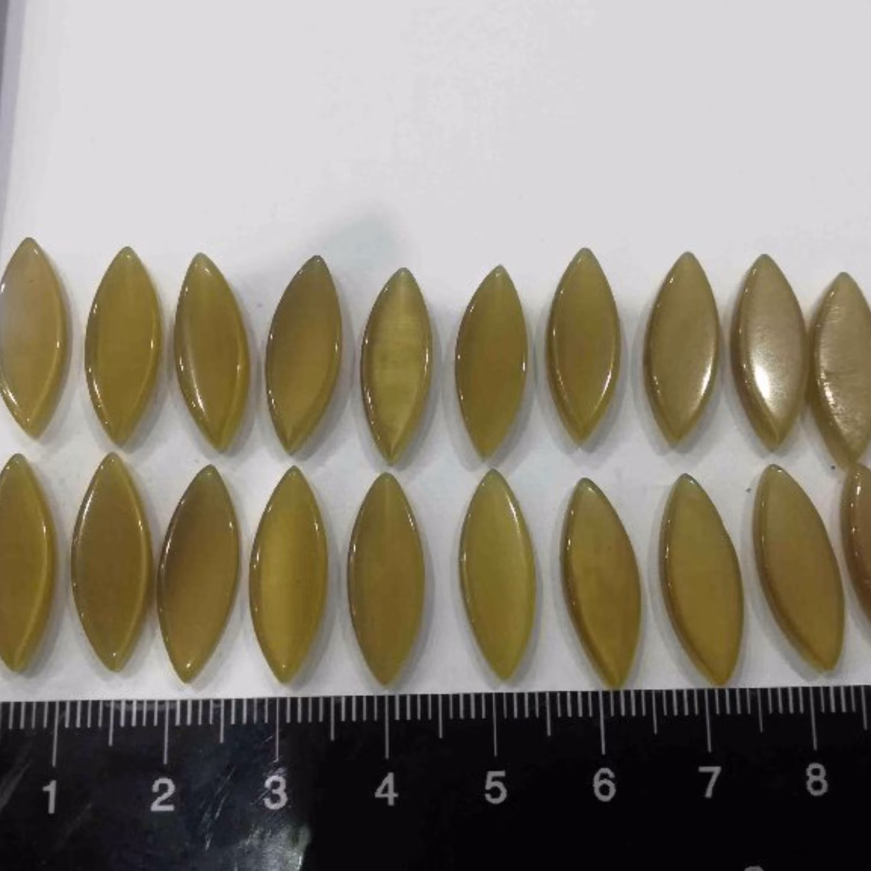 نگین چشم ببر