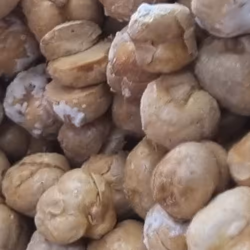 نخود دو آتیشه نمکی یک کیلو