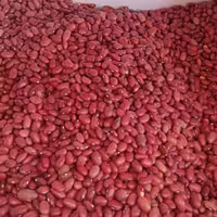 لوبیا قرمزمحلی اعلا تازه خوش پخت وباکیفیت به صورت بسته 2کیلویی