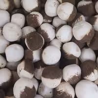 کشک درجه یک 