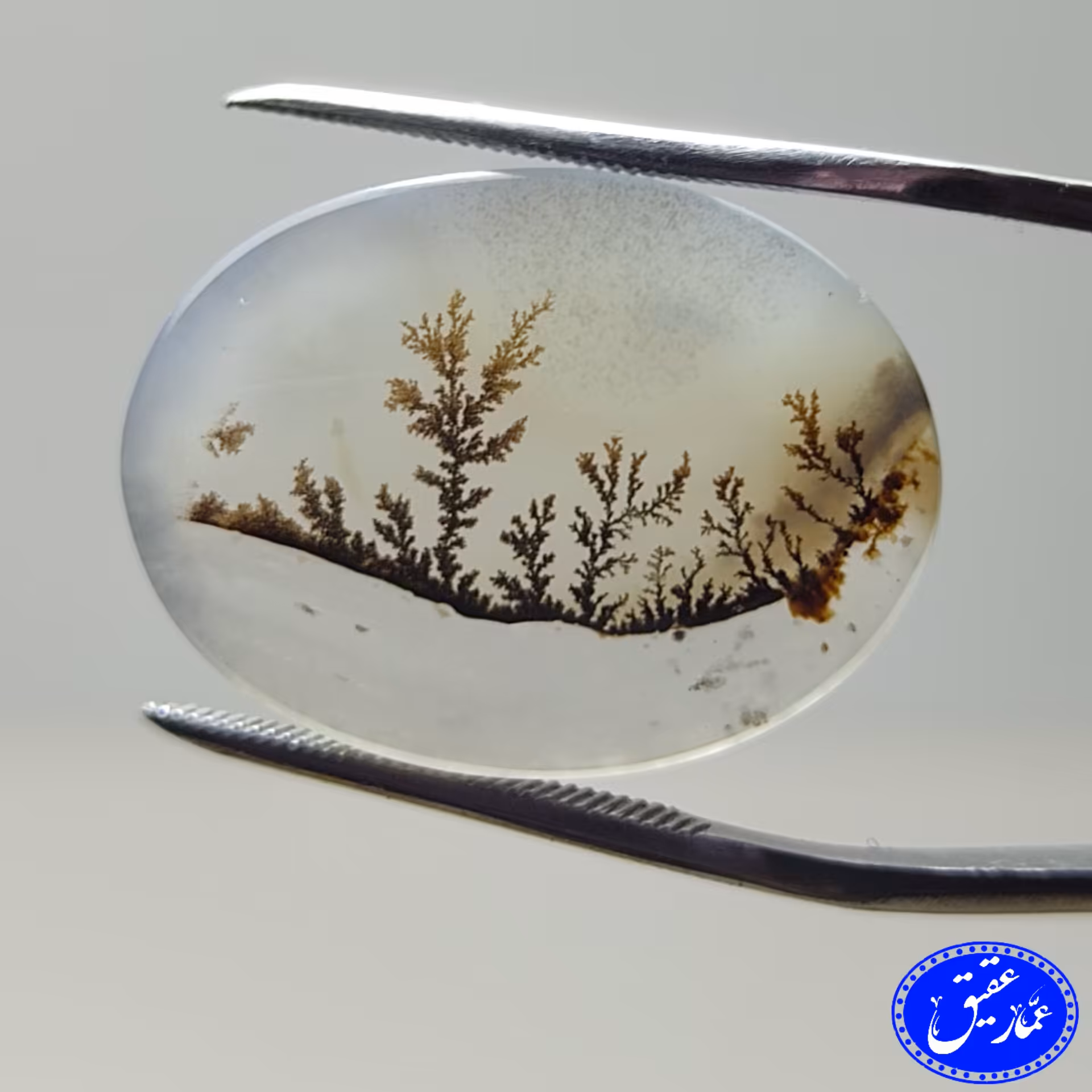 نگین عقیق شجر منظره  قائن (درجه یک) 