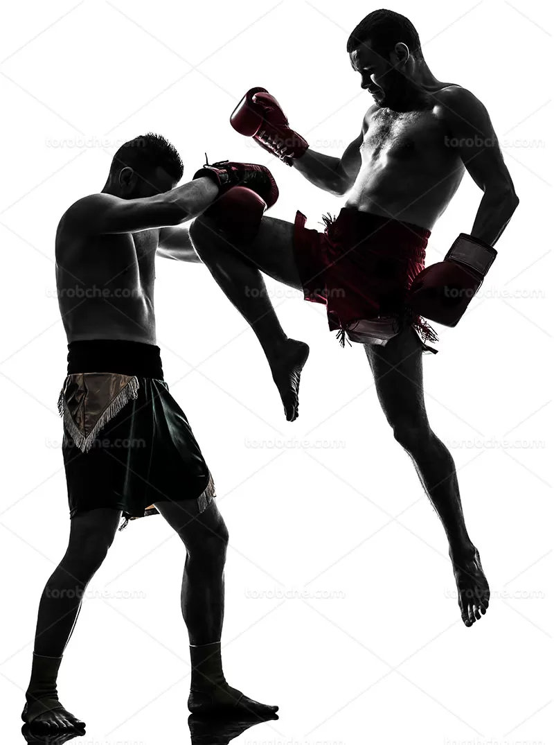 عکس ورزشکار بوکس | گرافیک با طعم تربچه