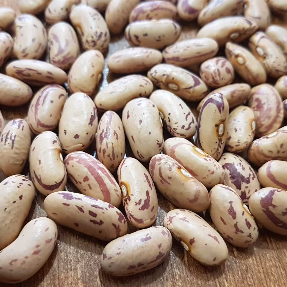 لوبیا چیتی 1000 گرم 