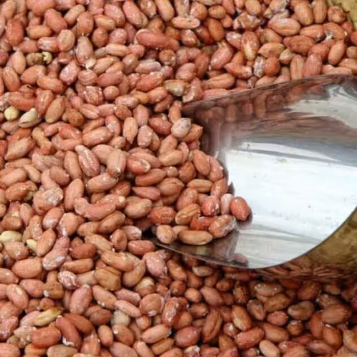 بادام زمینی اعلا و تازه