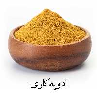 ادویه مخصوص کاری 100گرمی فرهمند 
