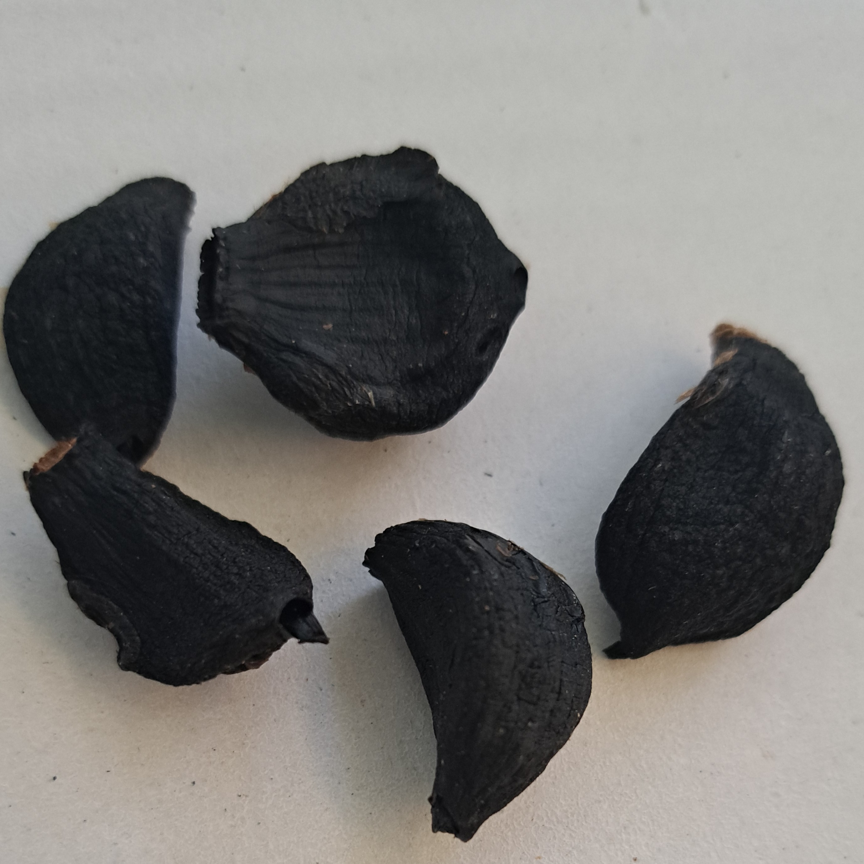 سیر سیاه تنوری ، جهت تست و تشخیص سیر سیاه اصلی و تقلبی