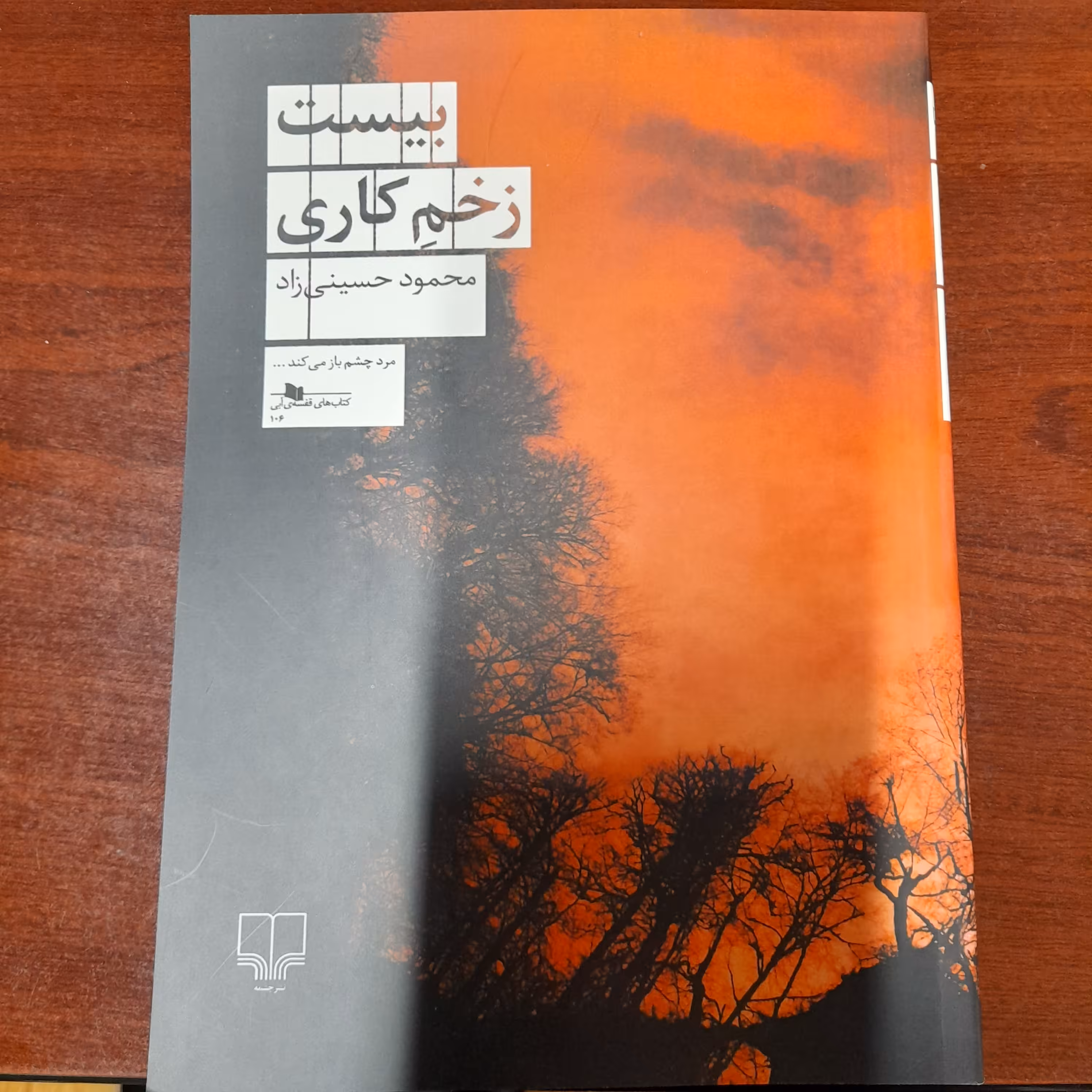 کتاب بیست زخم کاری اثر محمود حسینی زاد 