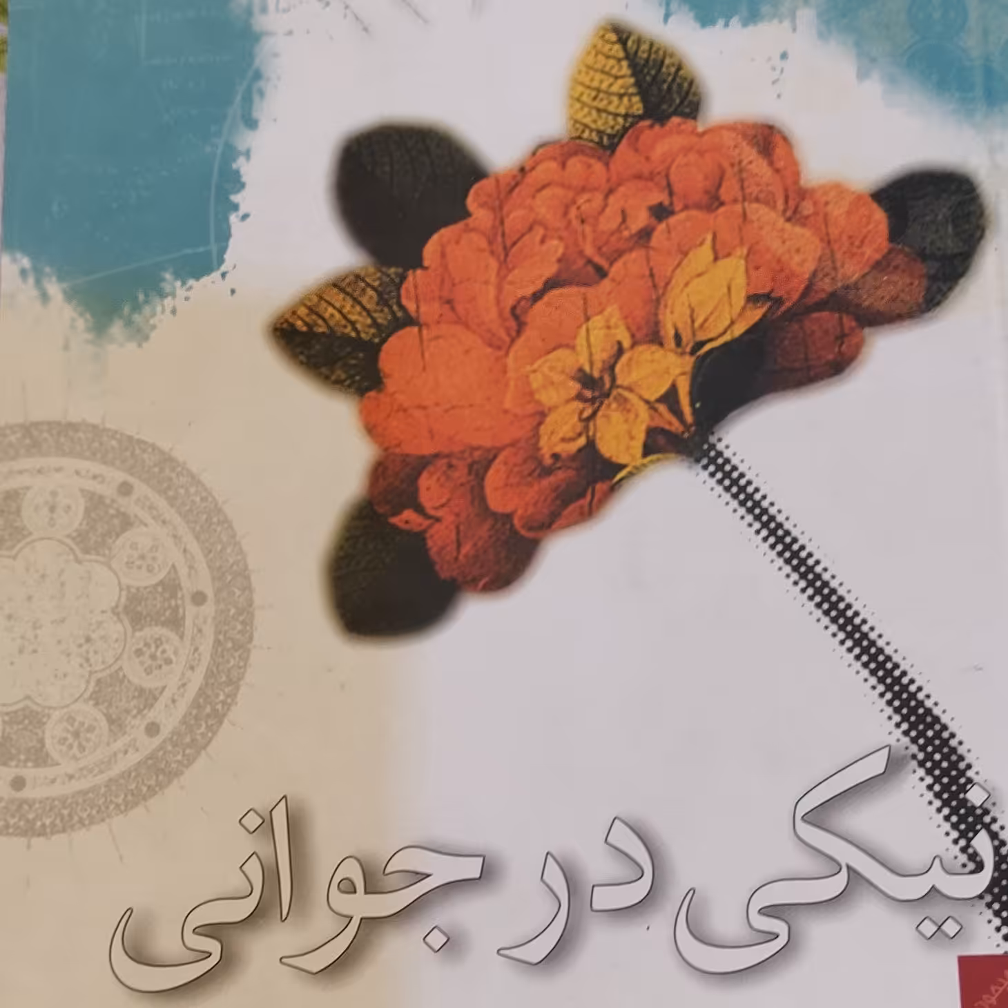 نیکی در جوانی