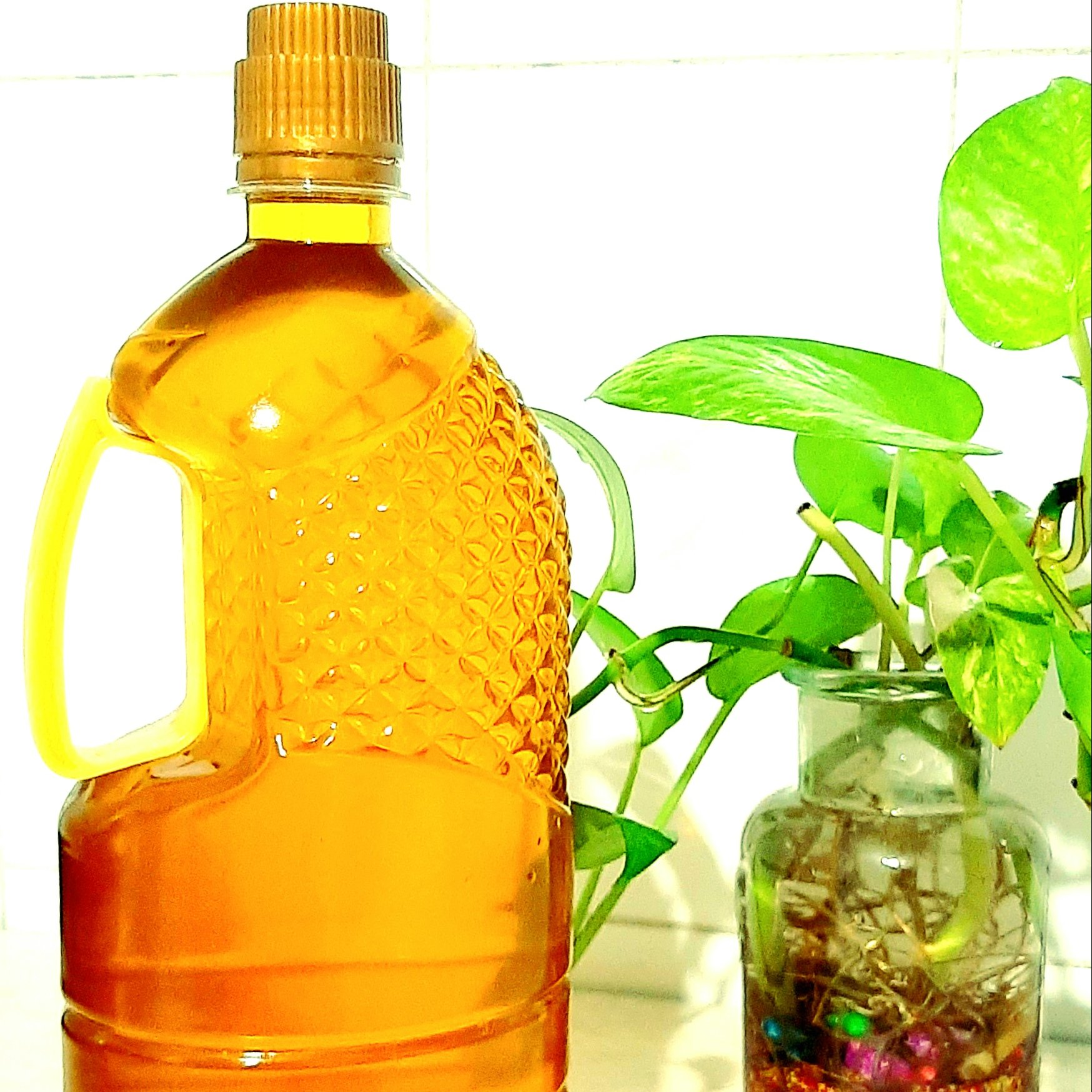 روغن کنجد طبیعی فرابکر (پرس سرد) با ضمانت بازگشت وجه اصالت و کیفیت روغن (بطری یک لیتری) و ارسال رایگان