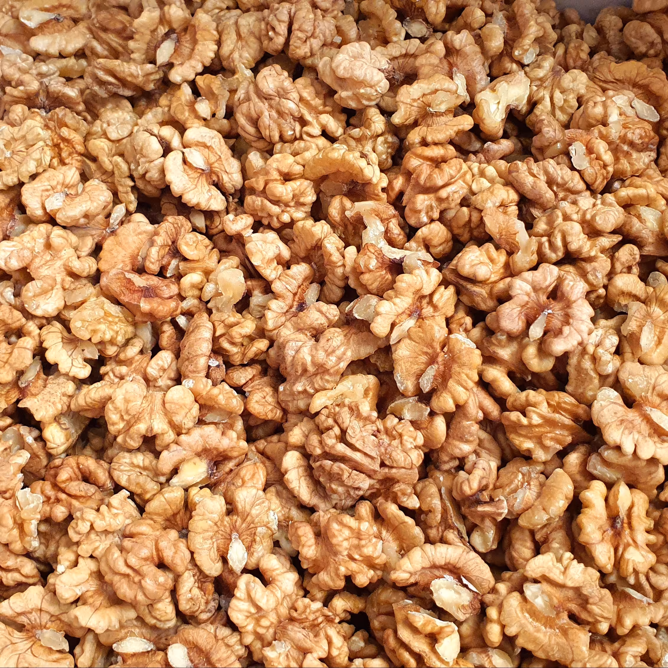 مغز گردو لوکس بسته 200 گرمی