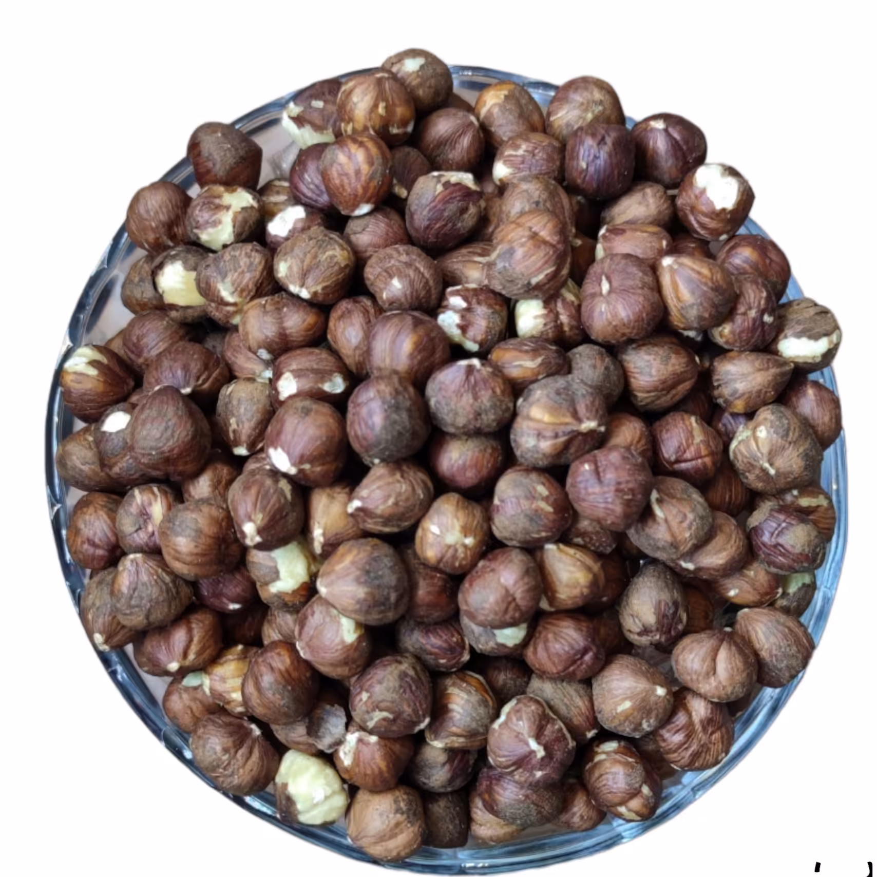 مغز فندق خام ایرانی 