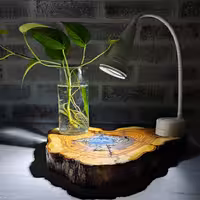 چراغ مطالعه با لامپ ال ای دی کم مصرف کد( 111)