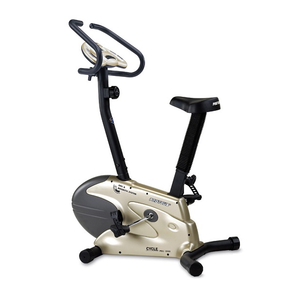 دوچرخه ثابت پروتئوس PEC 3320