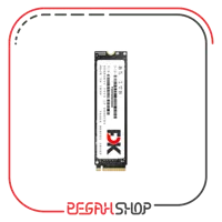 حافظه SSD برند FDK مدل B5 M.2 ظرفیت 256G