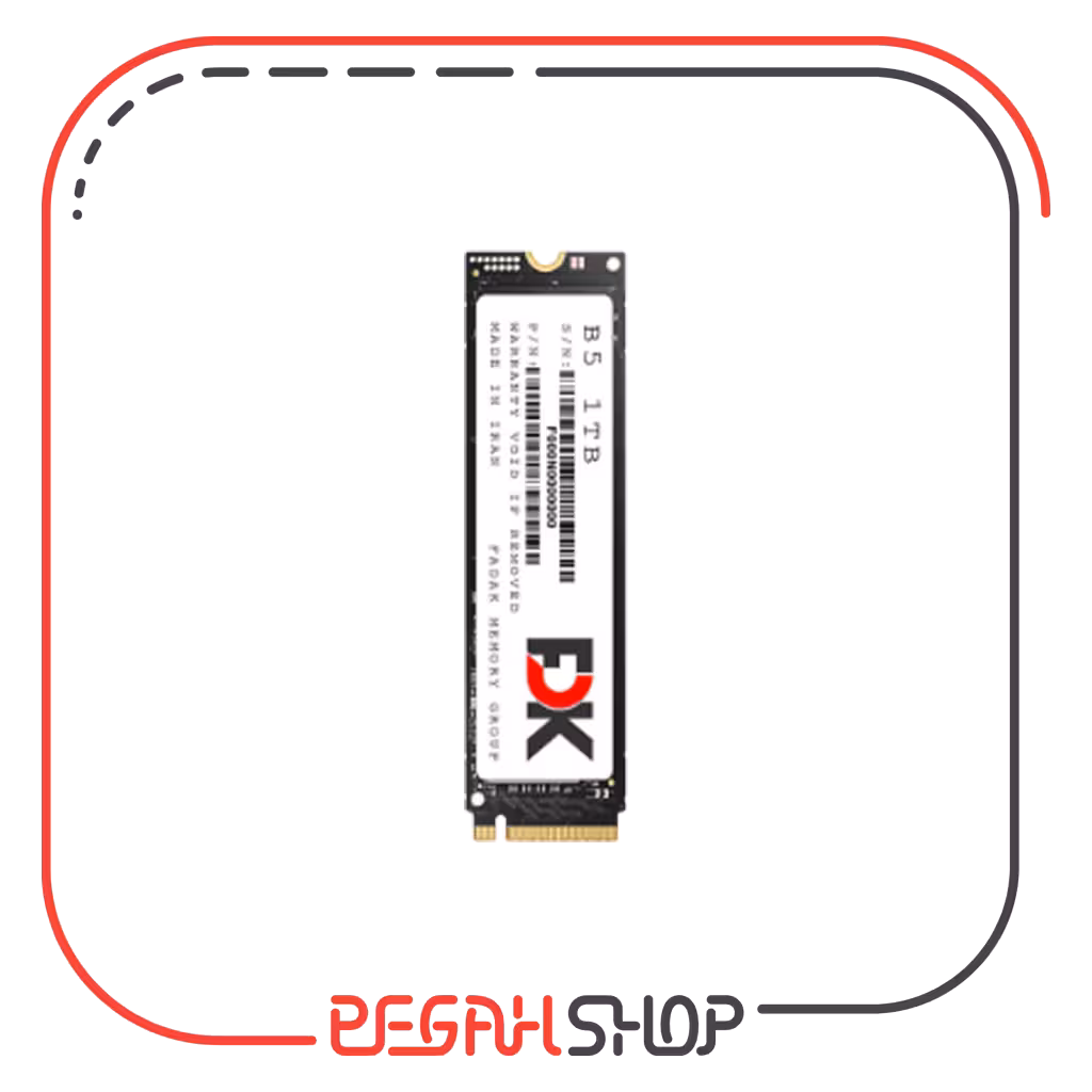 حافظه SSD برند FDK مدل B5 M.2 ظرفیت 256G