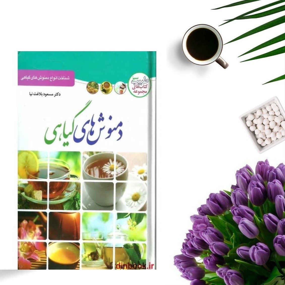 کتاب دمنوش های گیاهی اثر مسعود بلاغت نیا انتشارات ملینا