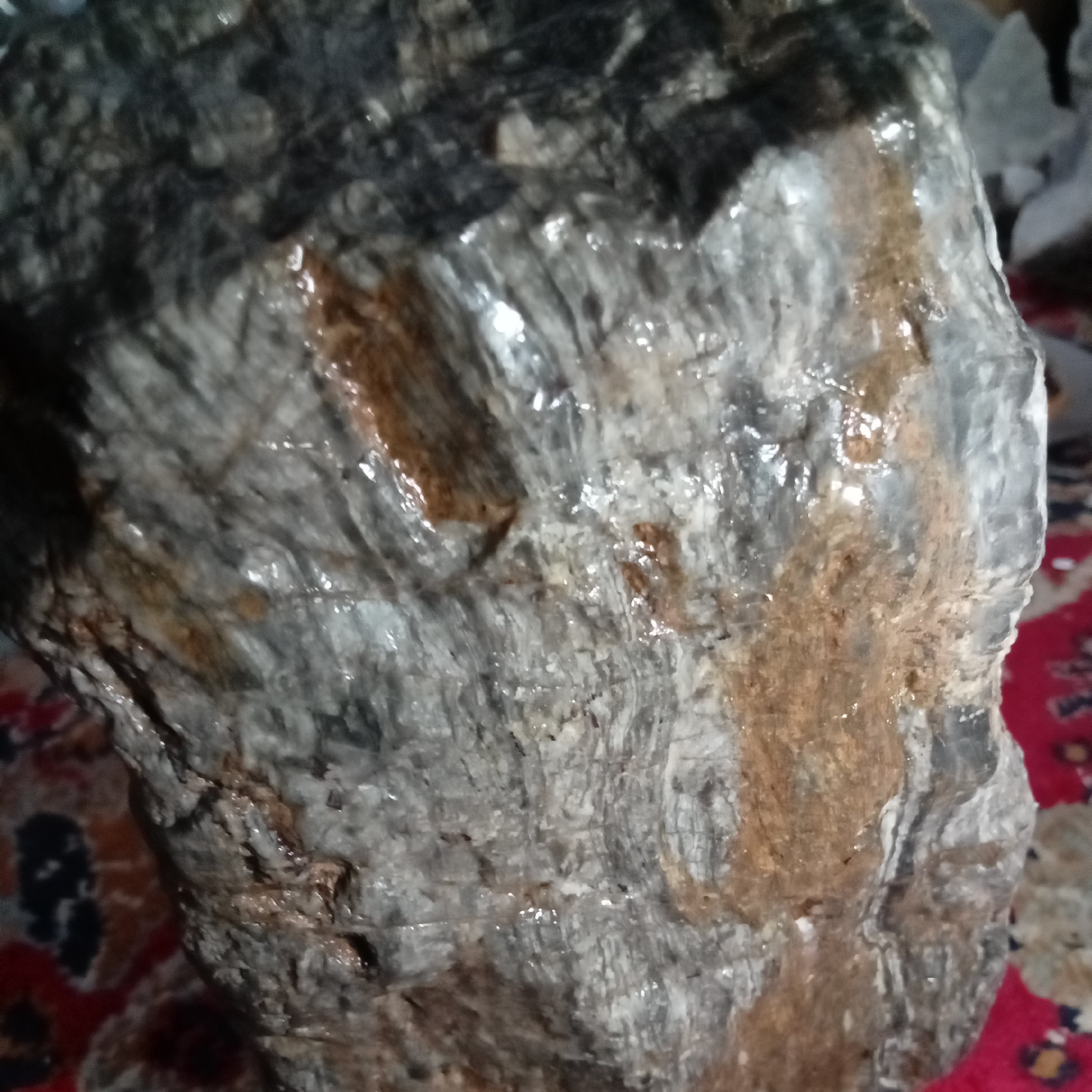 سنگ فسیل چوب