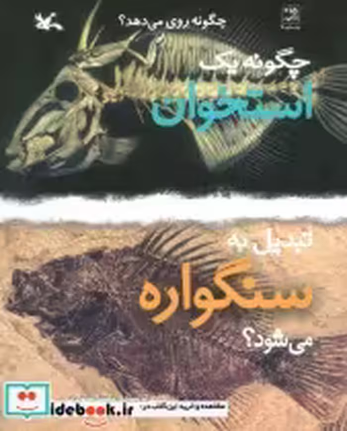 خرید کتاب چگونه یک استخوان تبدیل به سنگواره می شود؟ | ایده بوک