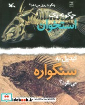 خرید کتاب چگونه یک استخوان تبدیل به سنگواره می شود؟ | ایده بوک