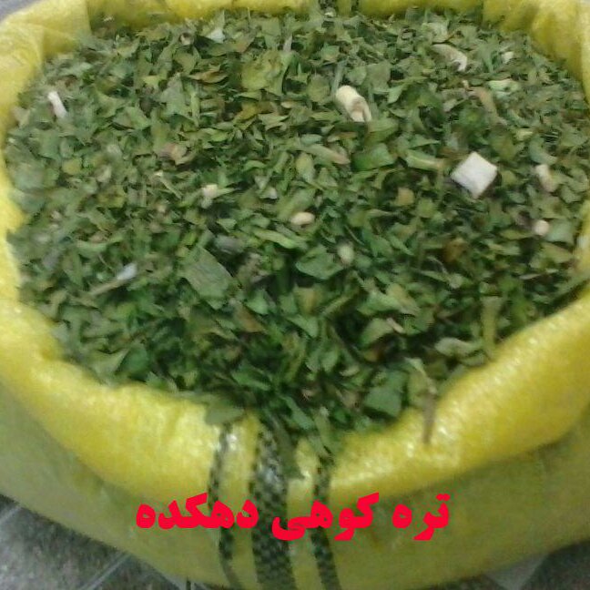 تره کوهی مناسب کوکو و خاگینه و سبزی پلو