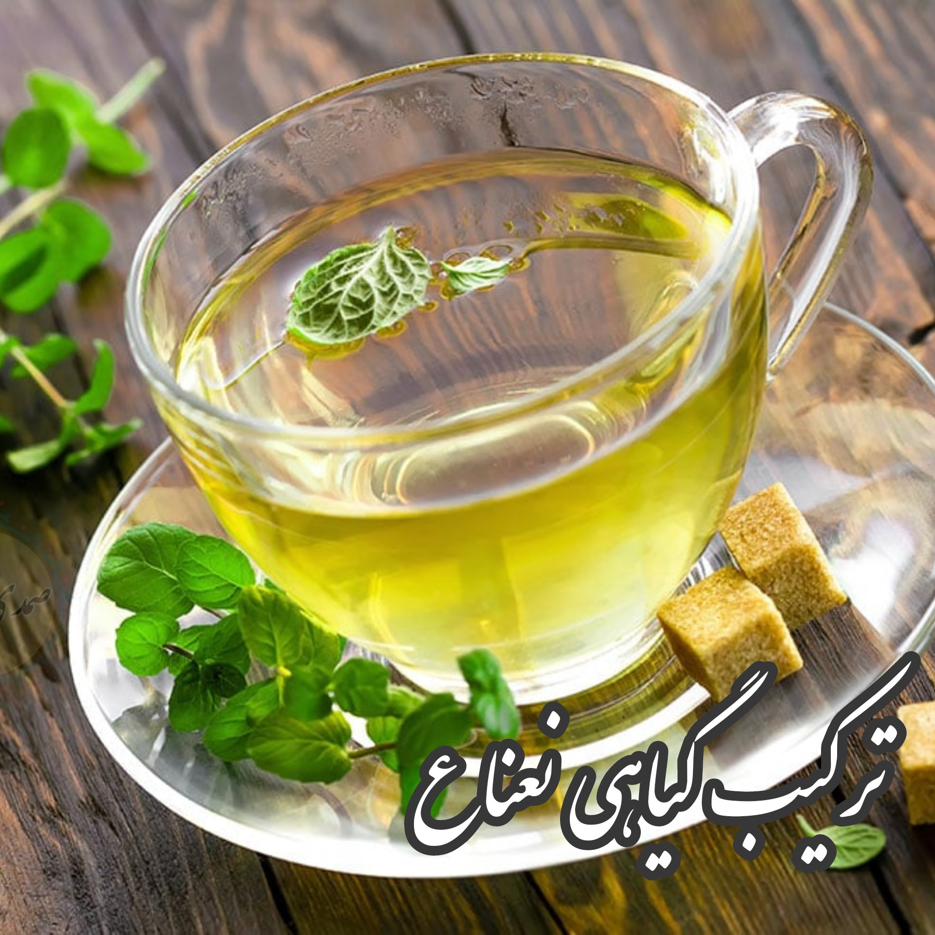 ترکیب گیاهی نعناع