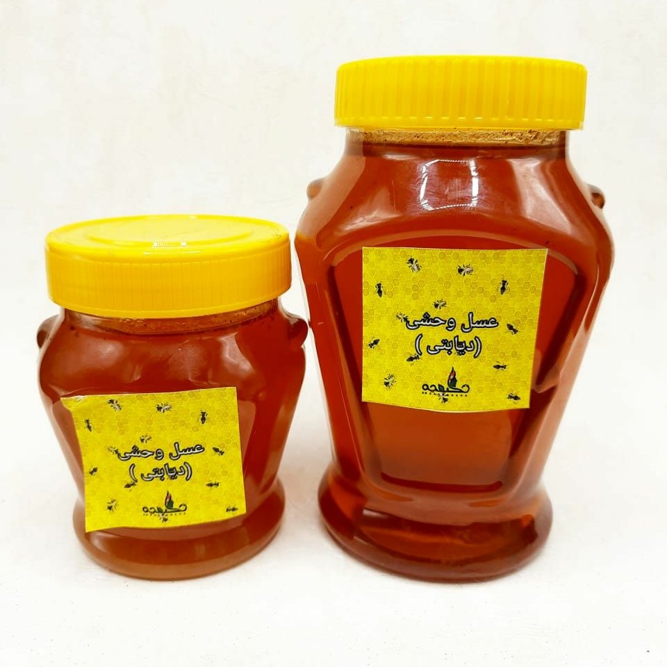 عسل وحشی (دیابتی) نیم کیلویی
